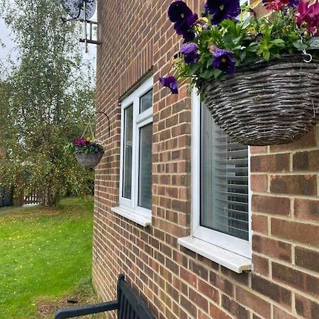 Cosy Studio Apartment Waterlooville Kültér fotó