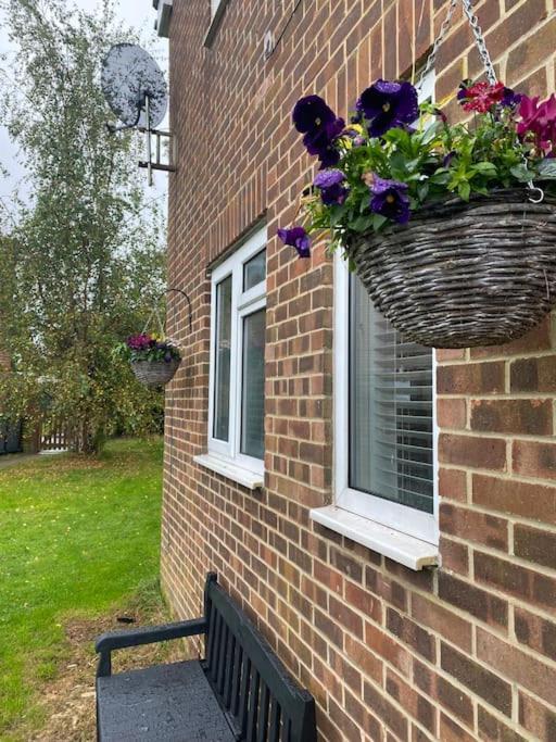 Cosy Studio Apartment Waterlooville Kültér fotó