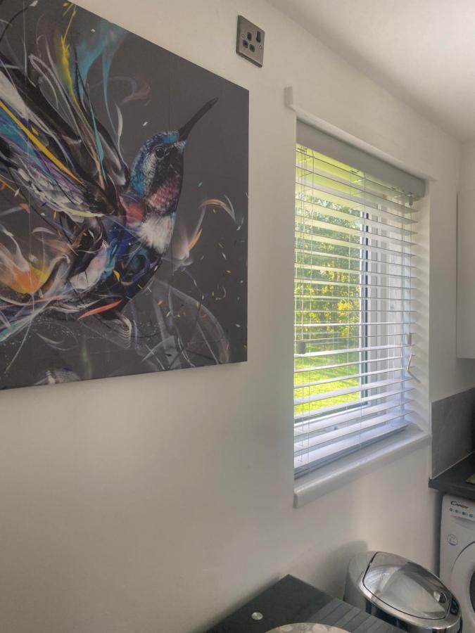 Cosy Studio Apartment Waterlooville Kültér fotó